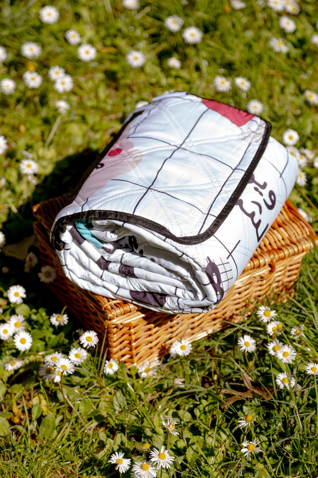 Picnic Blanket