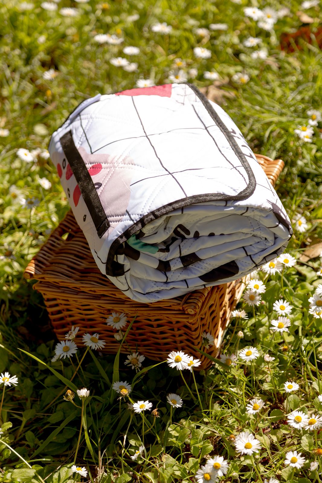 Picnic Blanket